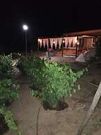 Rancho El Matalote