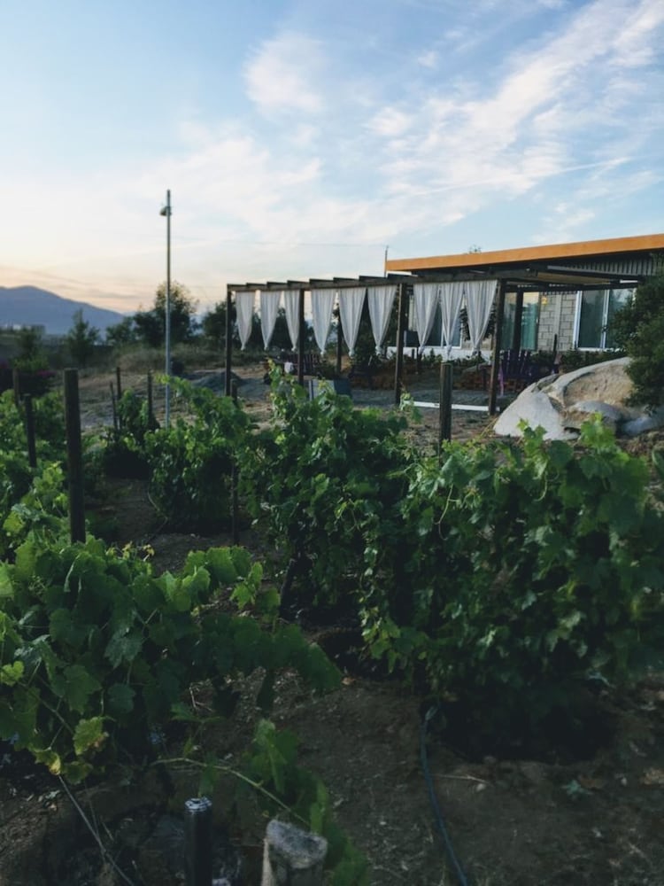 Rancho El Matalote