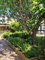Henry's Quirindi