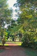 Banyan Tree Resort - Campsite