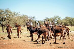 Ohorongo Game Reserve