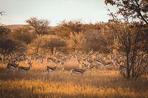 Ohorongo Game Reserve