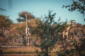 Ohorongo Game Reserve