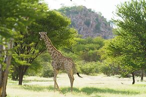 Ohorongo Game Reserve