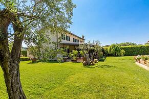 Villa Pallina With Pool