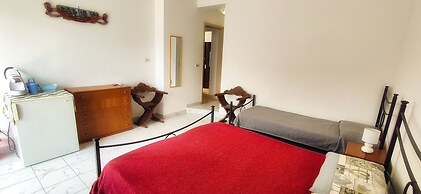 Hippocampus B&B