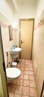 Hippocampus B&B