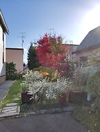 Donguri House