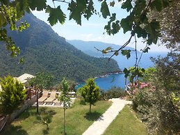 Olive Garden Kabak