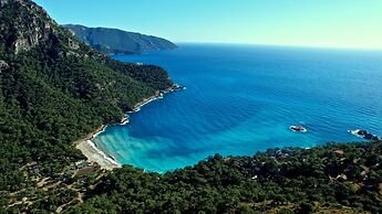 Olive Garden Kabak