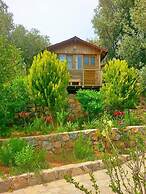 Olive Garden Kabak