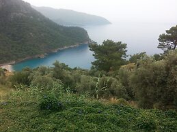 Olive Garden Kabak