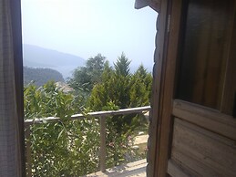 Olive Garden Kabak