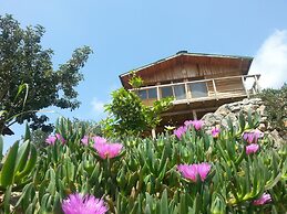 Olive Garden Kabak