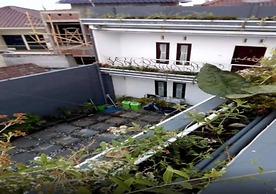 Villa Asri