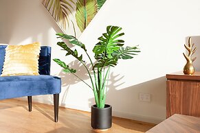 KULA North Sydney