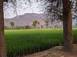 Mango Tree Farm