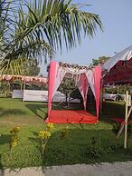 Mango Tree Farm