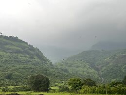 Mango Tree Farm