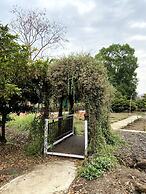 Mango Tree Farm