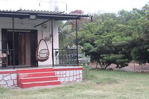 Mango Tree Farm