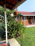 Mango Tree Farm