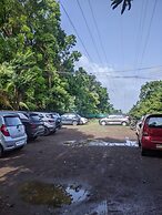 Mango Tree Farm