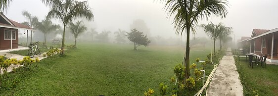 Mango Tree Farm