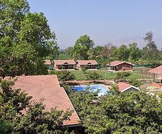 Mango Tree Farm
