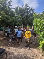 Mango Tree Farm