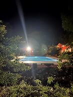 Mango Tree Farm