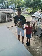 Mango Tree Farm