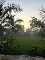 Mango Tree Farm