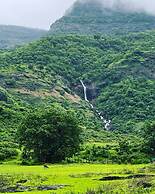 Mango Tree Farm