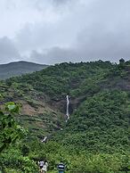 Mango Tree Farm
