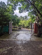 Mango Tree Farm