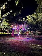 Mango Tree Farm