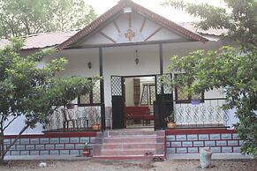 Mango Tree Farm