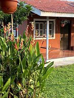 Mango Tree Farm