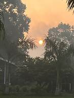 Mango Tree Farm
