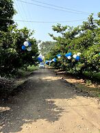 Mango Tree Farm