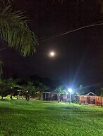 Mango Tree Farm