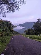 Mango Tree Farm