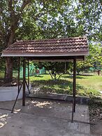 Mango Tree Farm