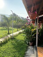 Mango Tree Farm
