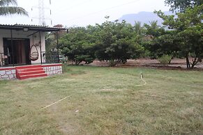 Mango Tree Farm