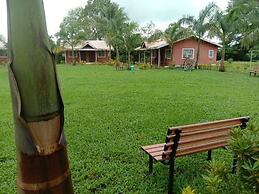 Mango Tree Farm