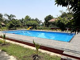 Mango Tree Farm