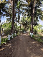 Mango Tree Farm