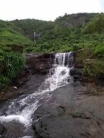 Mango Tree Farm